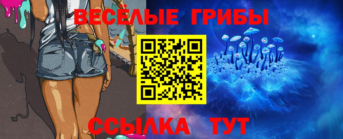 Псилоцибиновые грибы ЛСД  Псилоцибиновые грибы прущие грибы  Шали  Вход с VPN 